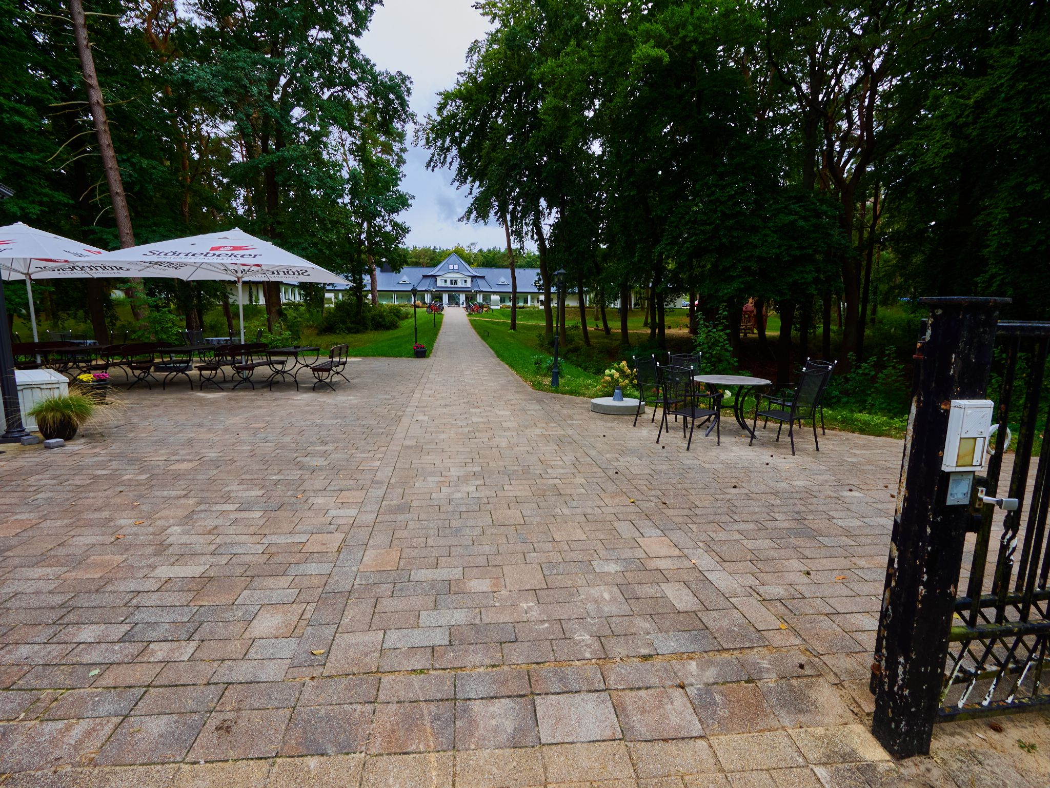 Landschaft 2024  1764 Usedom